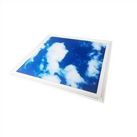 Decorative Ceiling Light Panels